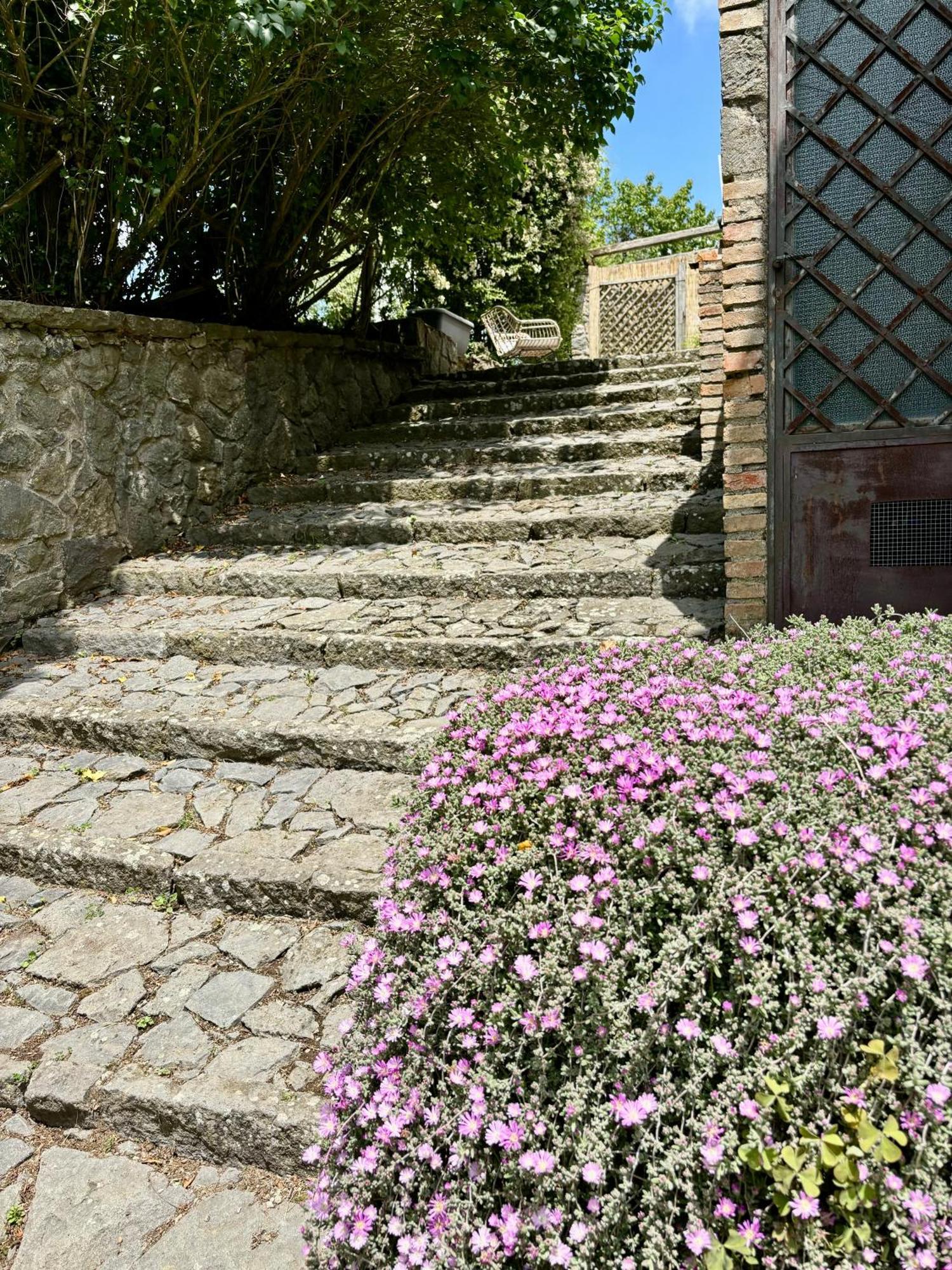 Collina Blu Bed & Breakfast Bolsena Eksteriør bilde